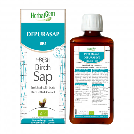 HerbalGem Depurasap fresh birch sap with black currant buds, organic, 250 mL