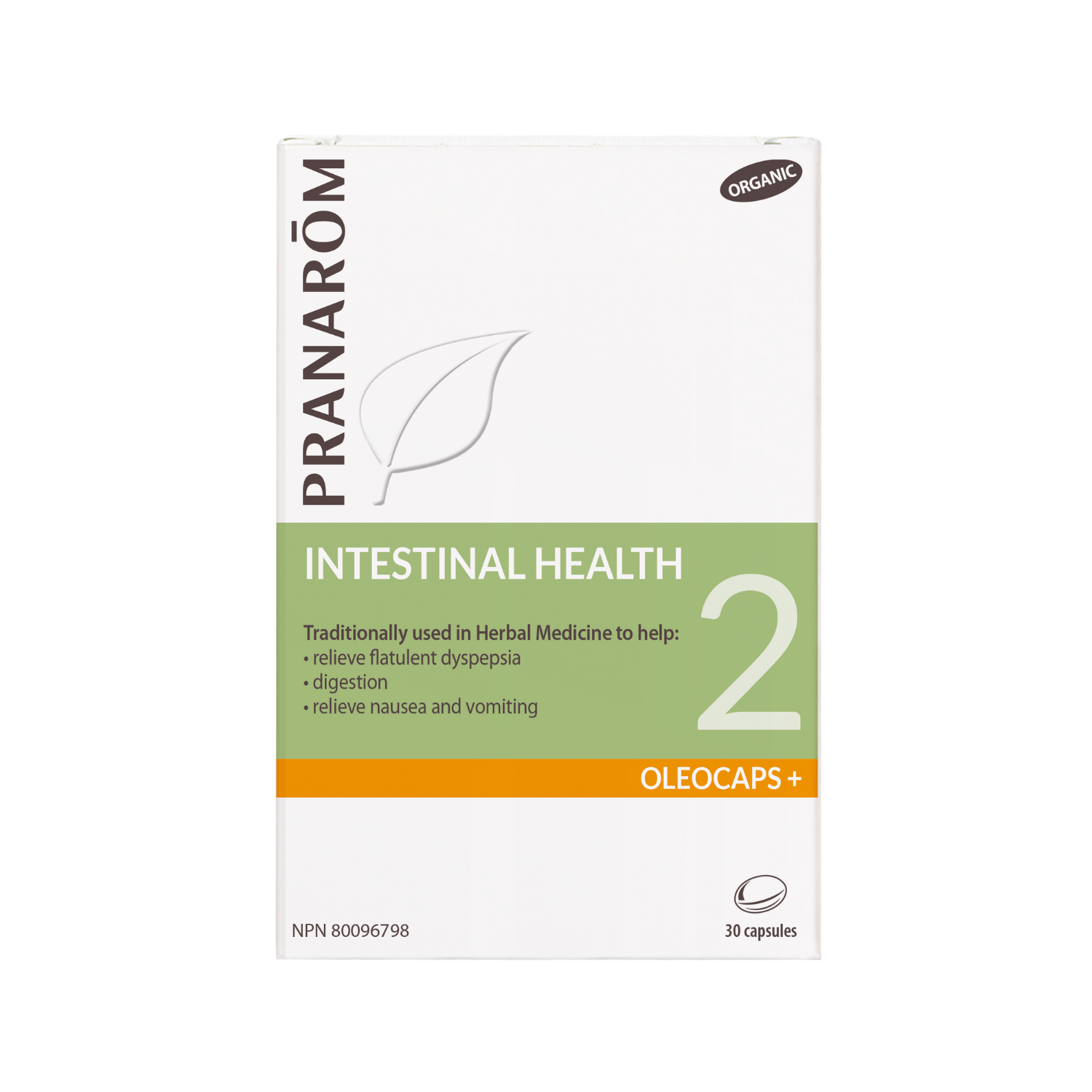 Herbal capsules for digestion, nausea, and flatulence relief